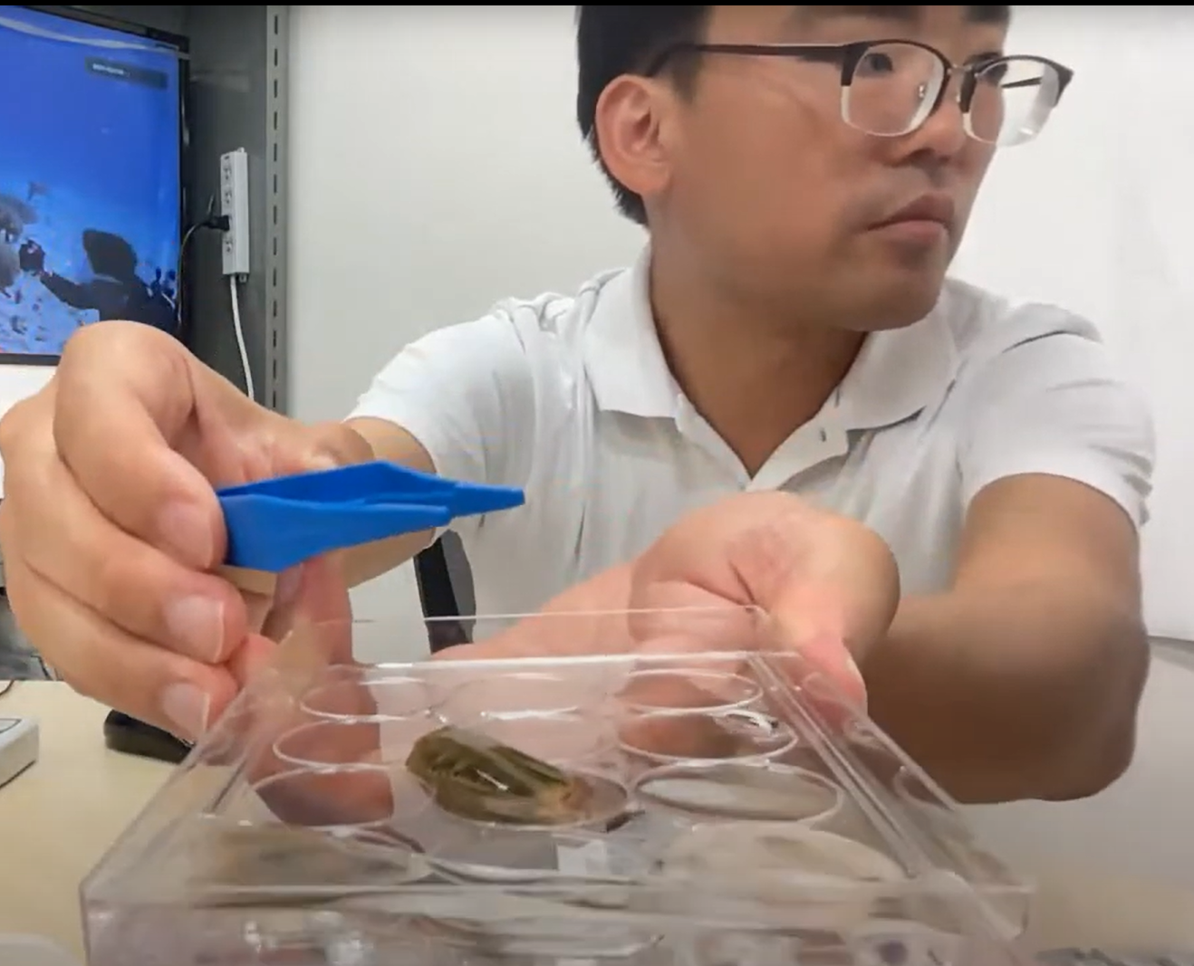 ウミウシの光合成が拓く、
生命科学の新しい扉